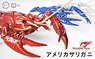 Biology Edition Crayfish (Metallic Red) (Plastic model)