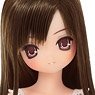 EX Cute Aika / Sweet Memory Coordinate Doll Set -Chocolat Brown Hair- (Fashion Doll)