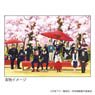 Clear File [Jujutsu Kaisen] 03 Animation Jujutsu Kaisen Exhibition [Cherry-blossom Viewing] Assembly Design (Anime Toy)