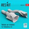 Rafale Air Intakes For Hobbyboss Kit (3D Printing) (Plastic model)