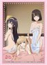 Bushiroad Sleeve Collection HG Vol.3402 `Saekano: How to Raise a Boring Girlfriend Fine` Part. 3 (Card Sleeve)