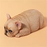 JXK Small Bread French Bulldog A (Fashion Doll)