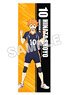 Haikyu!! B2 Half Tapestry Shoyo Hinata (Anime Toy)