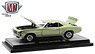 1969 Chevrolet Camaro SS/RS 396 (Diecast Car)