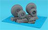 B-24 Liberator Wheels w/ Weighted Tyres Type `c` (GS), 2 Types Nose Wheels, 3D-Printed Mudguard & PE Hubcaps (Plastic model)