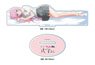 Miss Shikimori is Not Just Cute [Especially Illustrated] Big Acrylic Stand Shikimori-san (Anime Toy)