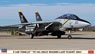 F-14B Tomcat `VF-103 Jolly Rogers Last Flight 2004` (Plastic model)