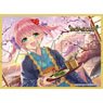 Chara Sleeve Collection Mat Series Iris Mysteria! Chris (No.MT1519) (Card Sleeve)