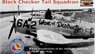 Black Checker Tail Squadron P-47 Thunderbolts of the 346th FS, 350th FG, 12th AF Over Italy (Decal)