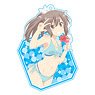 Bofuri: I Don`t Want to Get Hurt, so I`ll Max Out My Defense. Acrylic Key Ring [Sally] (Anime Toy)
