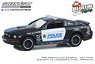 2009 Ford Mustang GT - Edmonton Police, Edmonton, Alberta, Canada - Blue Line Racing 25 Years (Diecast Car)