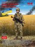 ウクライナ軍兵士 (プラモデル)