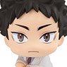 Lookup Haikyu!! Hajime Iwaizumi (PVC Figure)