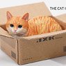 JXK Small The Cat in The Delivery Box 2.0 A (Fashion Doll)