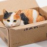 JXK Small The Cat in The Delivery Box 2.0 B (Fashion Doll)