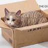 JXK Small The Cat in The Delivery Box 2.0 C (Fashion Doll)