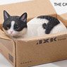 JXK Small The Cat in The Delivery Box 2.0 D (Fashion Doll)
