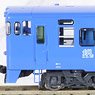 J.R. Diesel Train Type KIHA66, KIHA67 `Sea Side Liner` Set (2-Car Set) (Model Train)