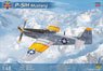 P-51H Mustang `USAF` (Plastic model)