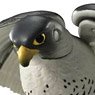 Ania AS-44 Peregrine Falcon (Animal Figure)