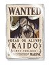 One Piece Acrylic Wanted Magnet Vol.2 Kaido (Anime Toy)