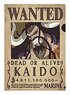 One Piece Wanted Trick File Vol.2 Kaido (Anime Toy)