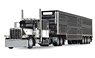 Peterbilt Model 389 with 63` Flat Top Sleeper & Wilson Silverstar Livestock Trailer (Diecast Car)