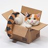 JXK Small The Cat in The Delivery Box 3.0 B (Fashion Doll)