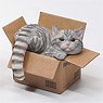 JXK Small The Cat in The Delivery Box 3.0 C (Fashion Doll)