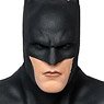 DC Comics - DC Multiverse: 7 Inch Action Figure - #219 Batman [Movie / The Flash] (Completed)