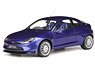 フォード プーマ レーシング 1999 (ブルー) (ミニカー)