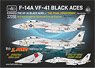 F-14A Black Aces ` The Final Countdown` (Decal)