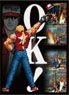 THE KING OF FIGHTERS `98 イラストスリーブNT テリー・ボガード (カードスリーブ)