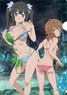 Is It Wrong to Try to Pick Up Girls in a Dungeon? IV Clear File [Hestia & Liliruca Arde] (Anime Toy)
