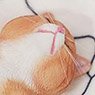 JXKスタジオ 1/6 惰眠を貪る猫 6.0 A (ドール)