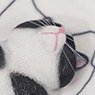 JXKスタジオ 1/6 惰眠を貪る猫 6.0 D (ドール)