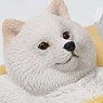 JXK Small Single Dog 10.0 Smartphone while Sleeping C (Fashion Doll)