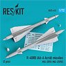R-40RD (AA-6 Acrid) Missiles (2 Pieces) (Plastic model)