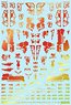 1/144 GM Decoration Decal No.2 `Graphic Armor #2` Prism Red & Neon Red (Material)
