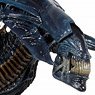 Alien/ 7inch Action Figure Series Ultra Deluxe: Alien Queen (Completed)