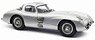 メルセデス・ベンツ 300 SLR クーペ 1955 ツーリストトロフィ #T1 Wolfgang Von Trips (ミニカー)