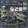 Natural History Modeling Club Vol.3 1/35 Toyotamaphimeia Skeleton (Set of 4) (Completed)