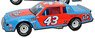 `Richard Petty` #43 STP Buick 1981 North Wilkesboro Winner with Sine [Hood Open] (Diecast Car)