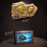 Star Ace Toys Trilobita & Fossil Replica (Completed)