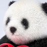 JXK Studio Flocking Panda (Fashion Doll)