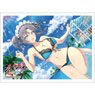 [Shinovi Master Senran Kagura New Link] Sleeve (Yumi / 81 Day Bakunyu Festival) (Card Sleeve)