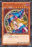 Yu-Gi-Oh! Duel Monsters No.1000T-386 Dark Magician Girl (Jigsaw Puzzles)