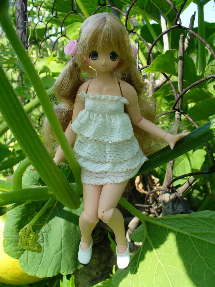[Close]
EX Cute Chiika / Romantic Girlie ! III  (Fashion Doll) Photo(s) taken by Naru