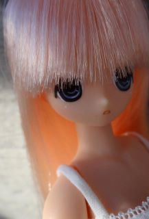 [Close]
EX Cute 8th Series Witch Girl Chiika / Little Witch of the Heart (Fashion Doll) Photo(s) taken by Britt