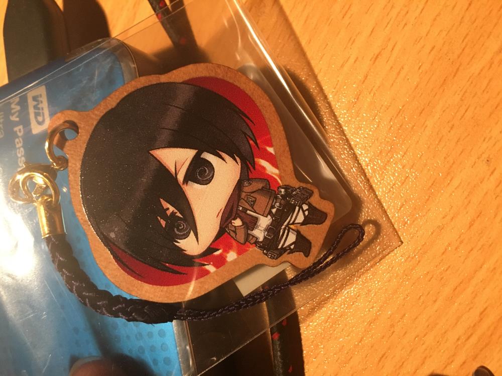 [Close]
[Attack on Titan] Wooden Strap Design 02 (Mikasa) (Anime Toy) Photo(s) taken by Dogan